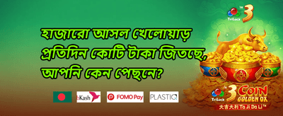 ফ্রি স্পিন মেগা ডিল promotion